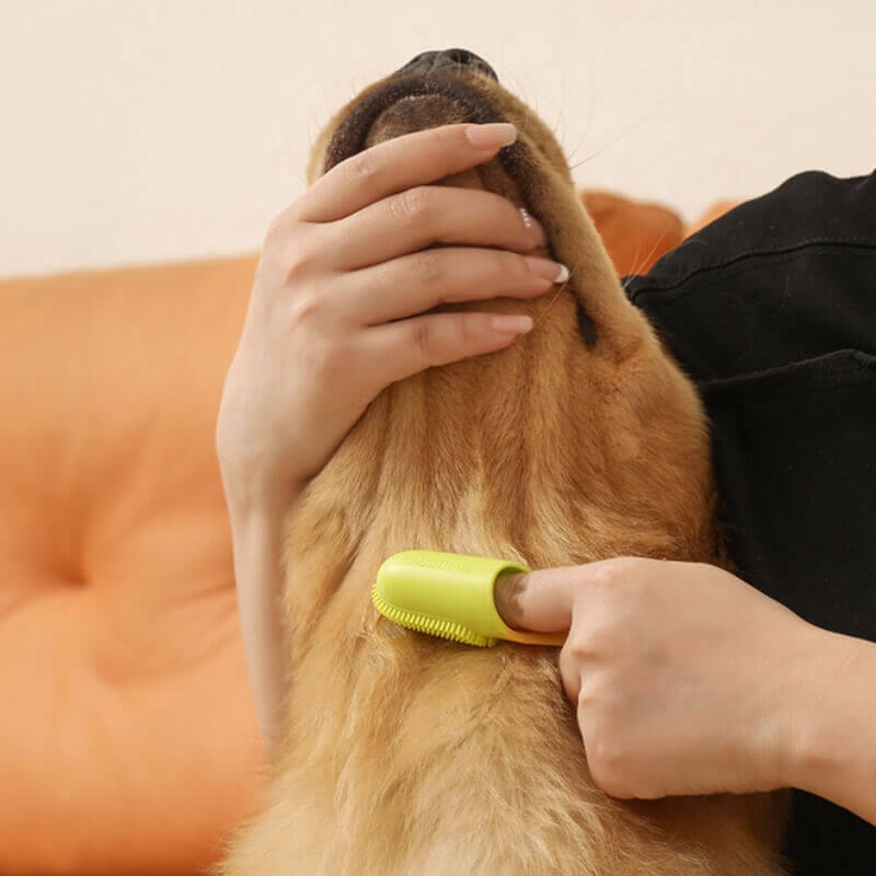 BOBBY Tandenborstel voor Honden en Katten