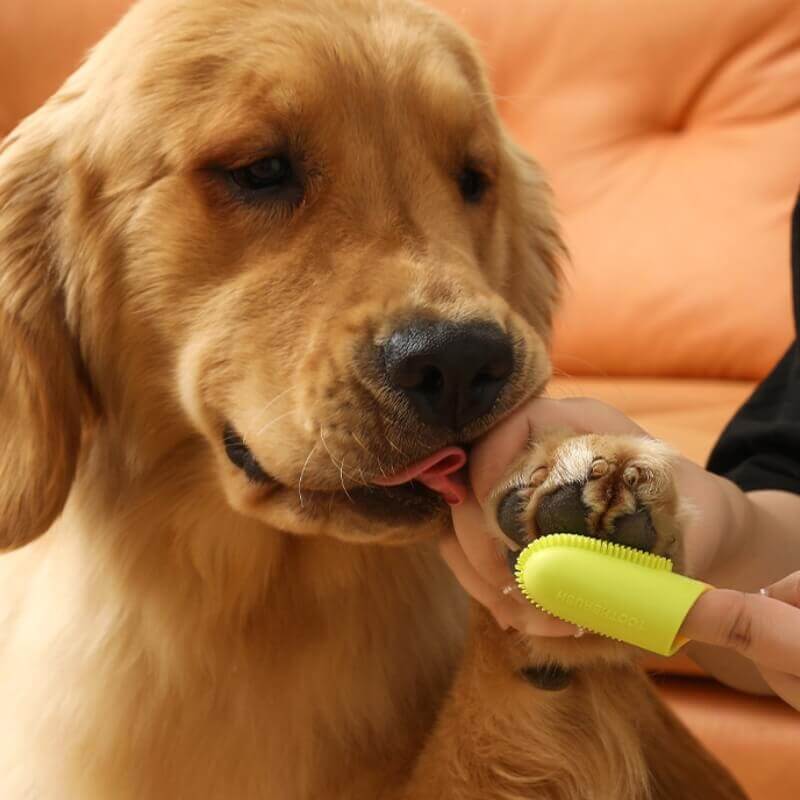 BOBBY Tandenborstel voor Honden en Katten