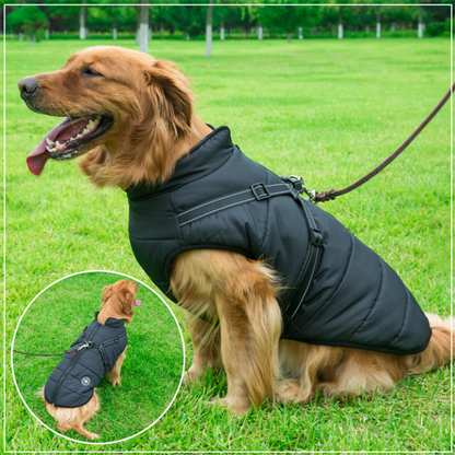 Waterdichte Heerlijk Beschermende Winterjas Voor je Hond